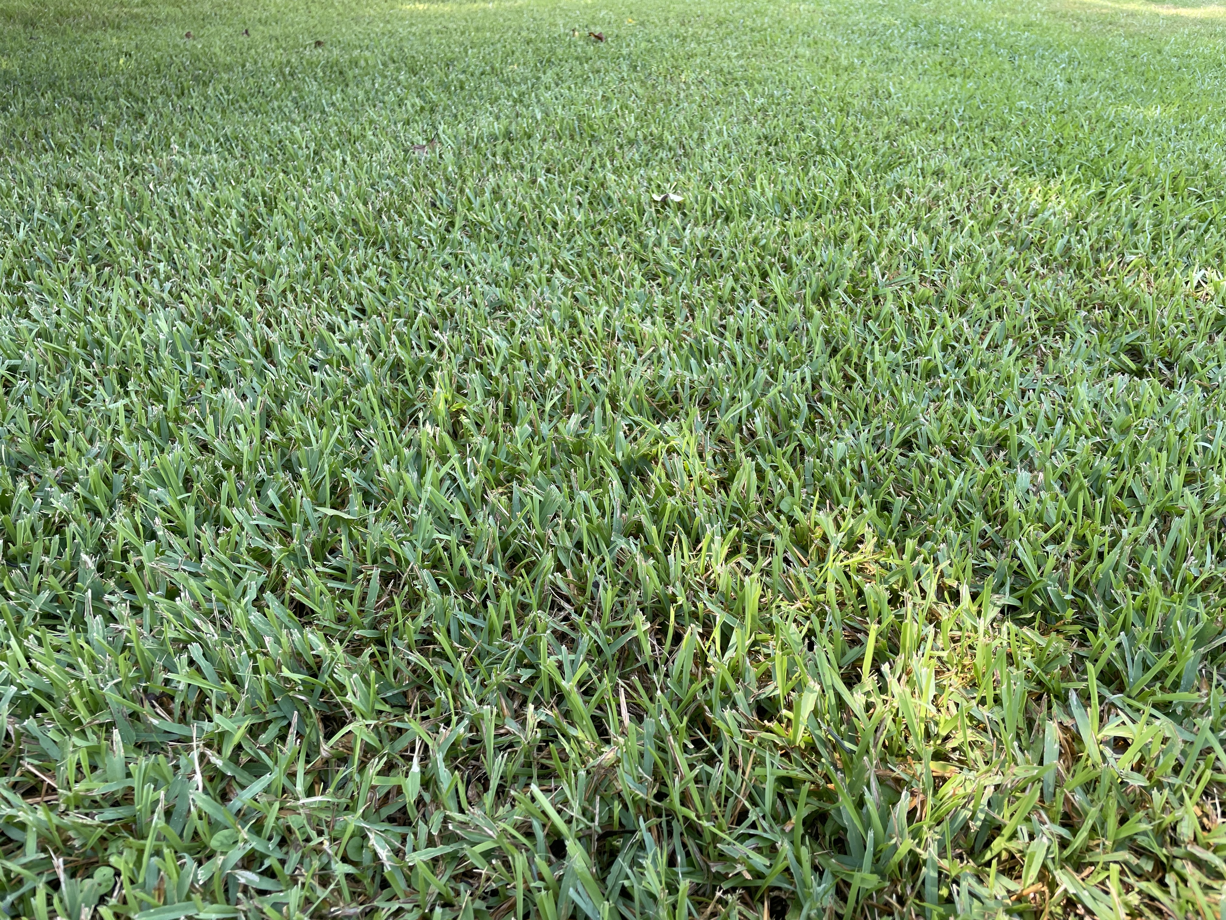 My property is different